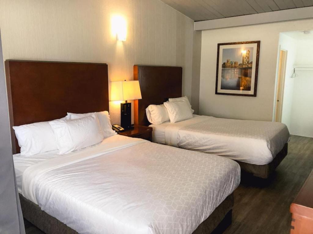 Super 8 By Wyndham San Jose Airport Motel Santa Clara Ngoại thất bức ảnh